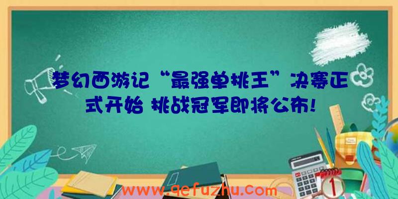 梦幻西游记“最强单挑王”决赛正式开始